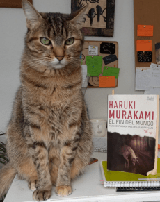 xocany y el fin del mundo